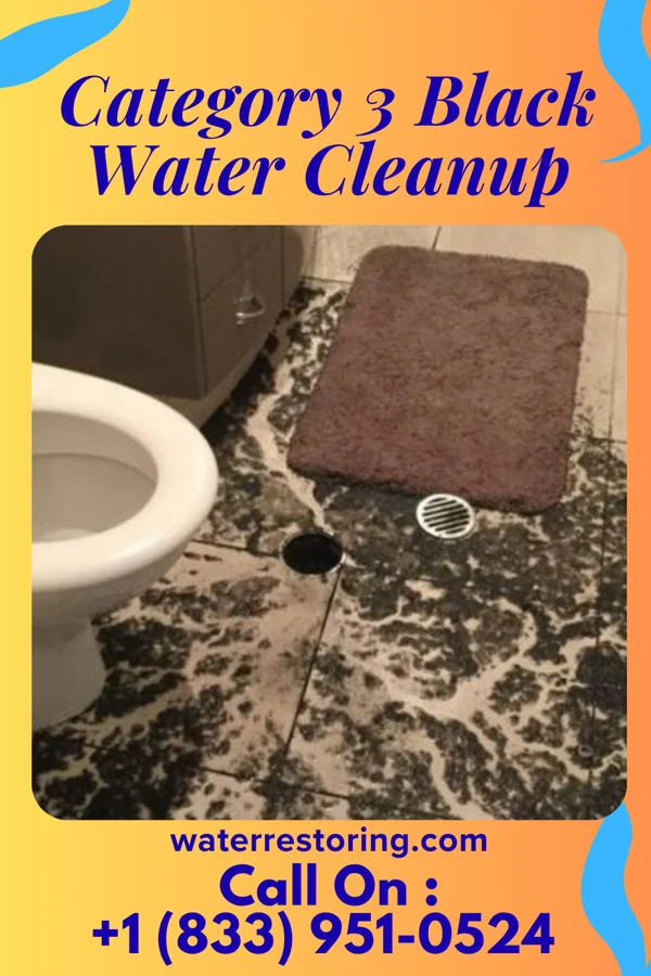 Category 3 Black Water Cleanup in Crown City, OH