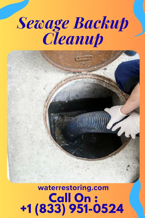 Sewage Backup Cleanup in Crown City, OH