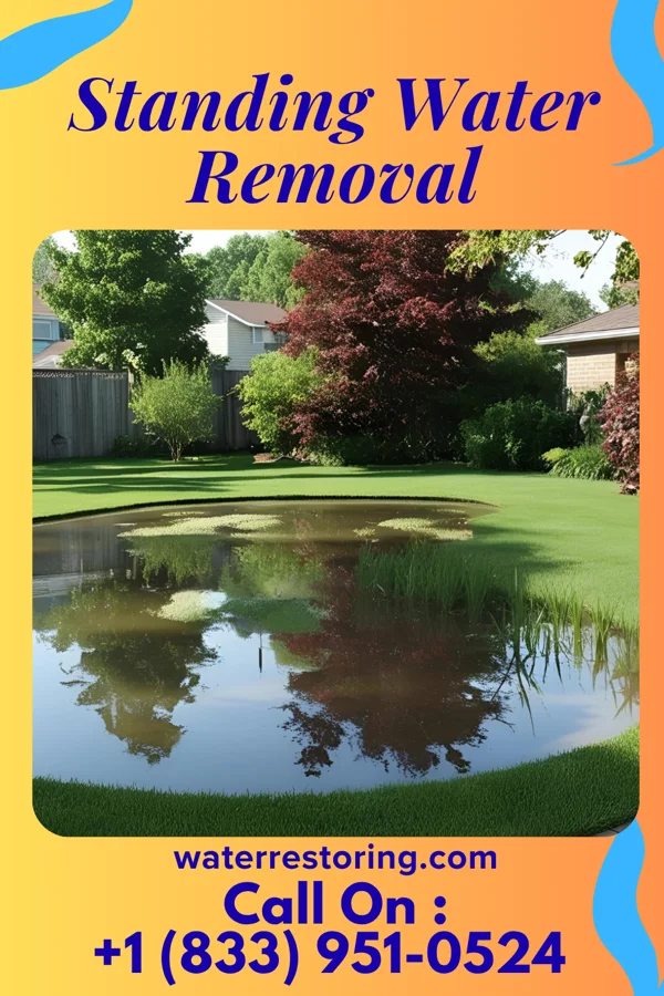 Standing Water Removal in Crown City, OH